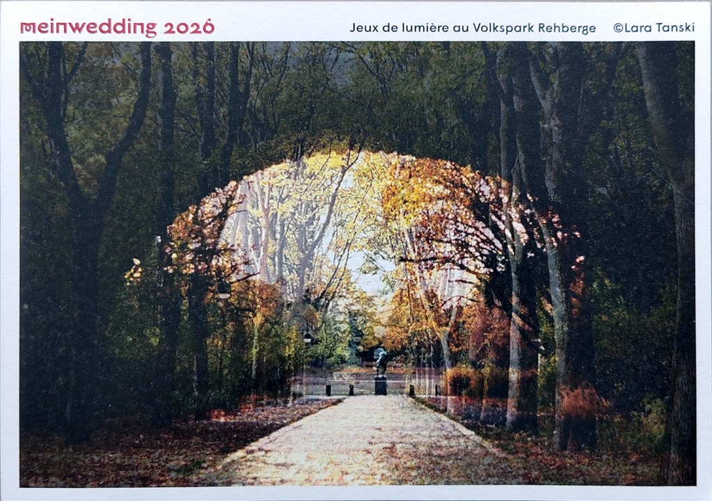 Mein Wedding 2026: "Jeux de lumière au Volkspark Rehberge" von Lara Tanski