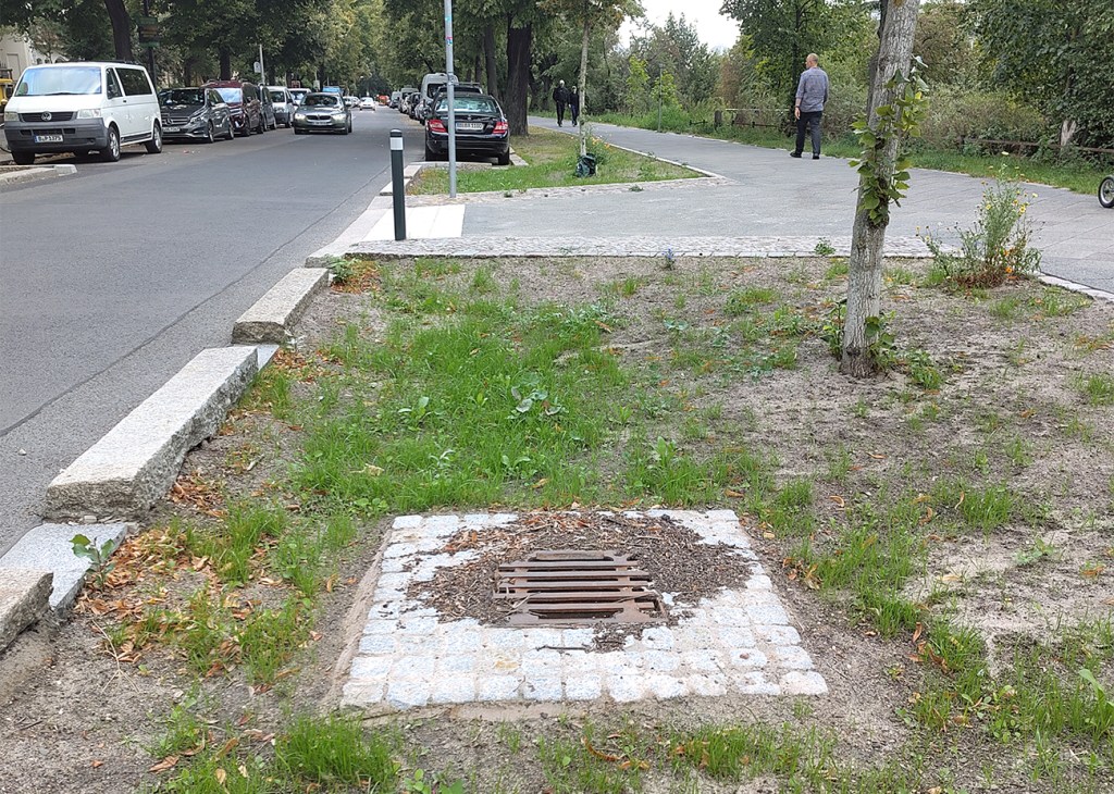 Grüner Gully am Nordufer im Wedding mit Einlaufrost, entsiegelter Grünfläche und jungem Straßenbaum.