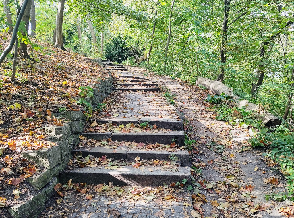 Mit Herbstlaub bedeckte Treppe führt durch den bewaldeten Hang zum Rodelberg im Humboldthain.